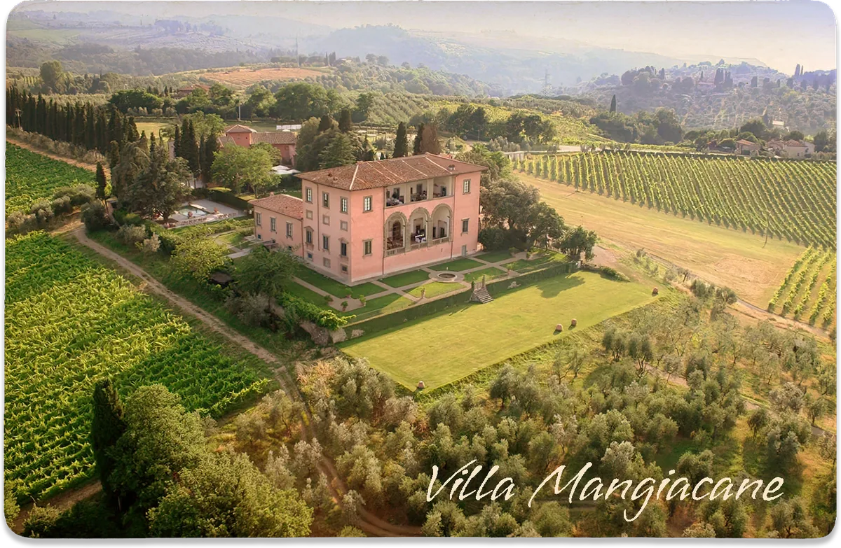 Aerial view of Villa Mangiacane among its vineyards and gardens